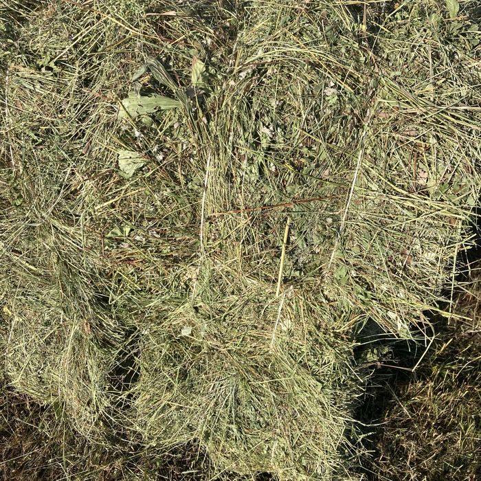 сено тюк и рулон