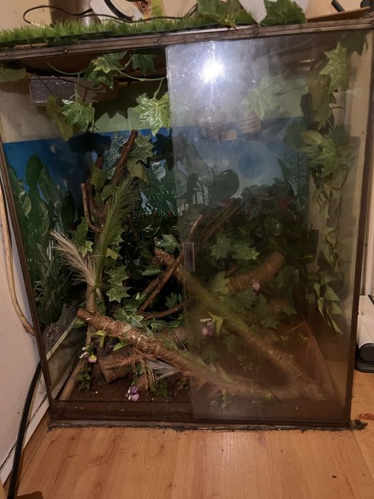 Терариум за игуана или хамалион.