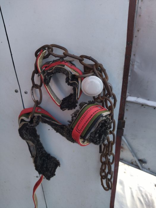 Путы для лошадей