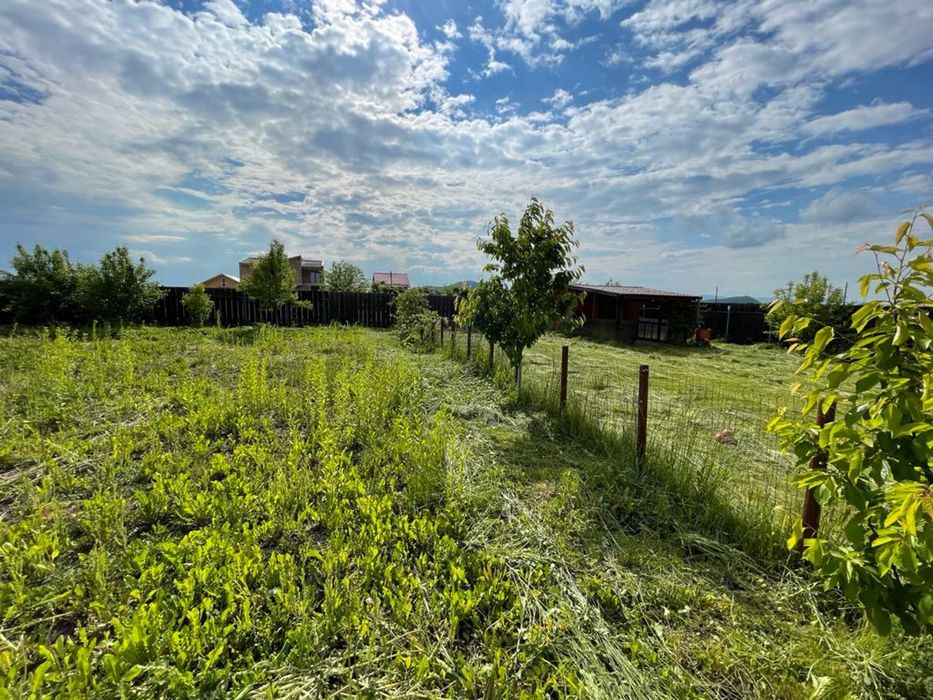 Teren intravilan Harman 1000mp