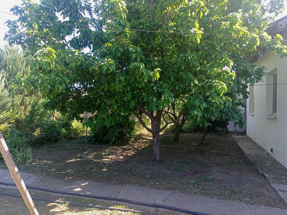 Продам дом с участком