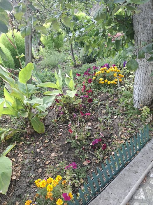 Продам дачу ск локомотивное 10