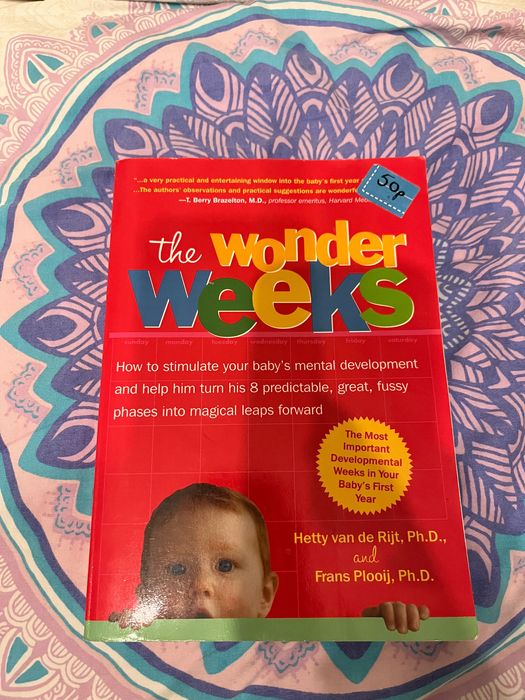 The wonder weeks - книга за детското развитие и менталните скокове