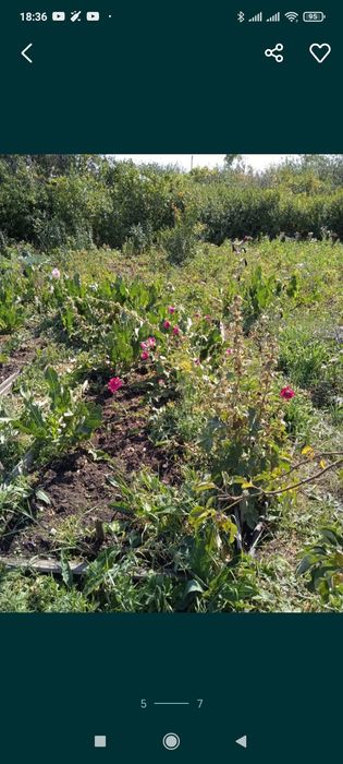 СРОЧНО за 2 дачи вместе с ДОКУМЕНТАМИ по зерендинской трассе