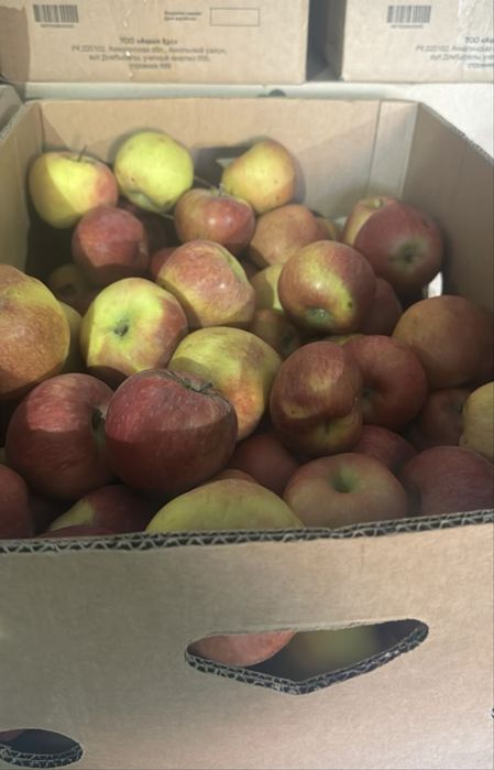 Продаам Яблоко 3 сорта