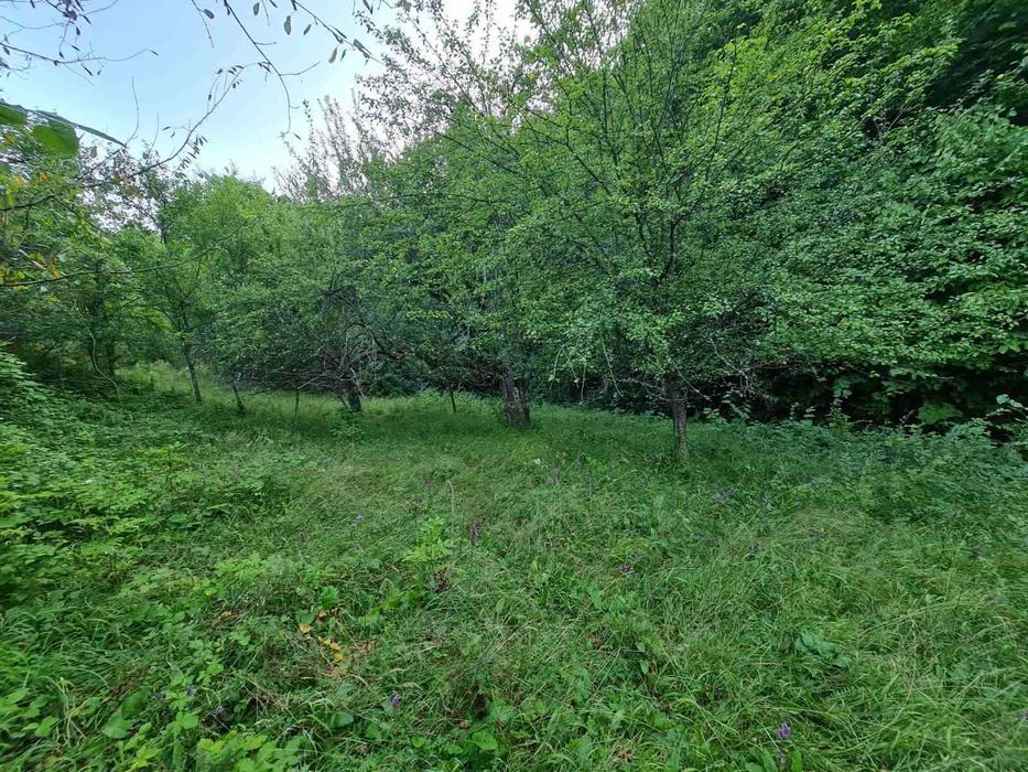 Продава се Парцел в Габрово, Бичкиня - 1200 кв.м за 3 €/кв.м - Снимка #4