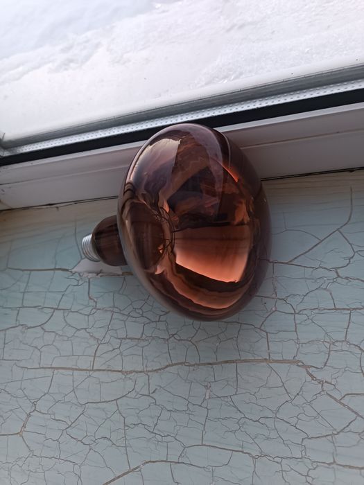 Лампа красная для птицы