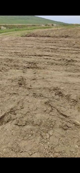 Teren extravilan parc industrial Miroslava 2,5 hectare în loturi