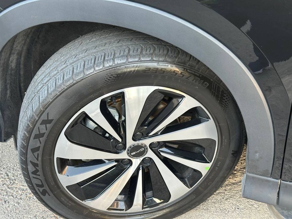 Byd song plus chempion sotiladi.