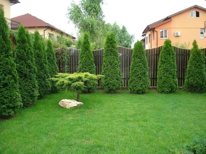 Cauti solutii ptr gradina ,deco garden va scapa de griji