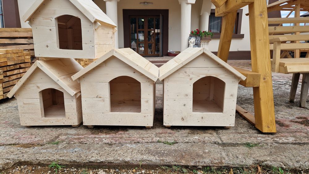 cotețe cățeluși și pisicuțe