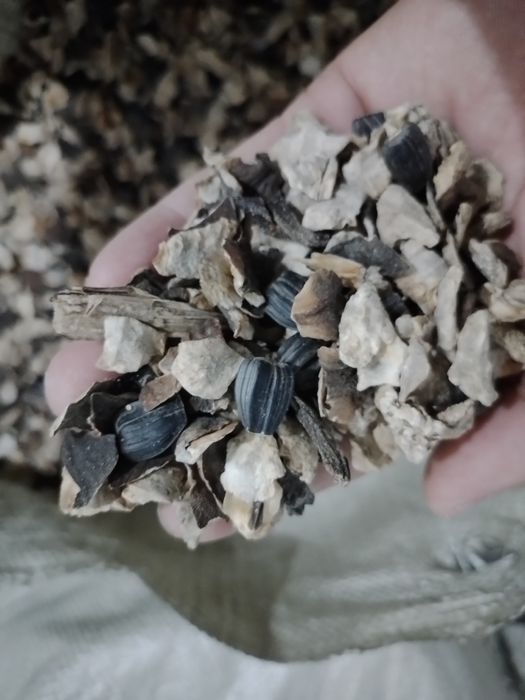 Жем отход от семечки