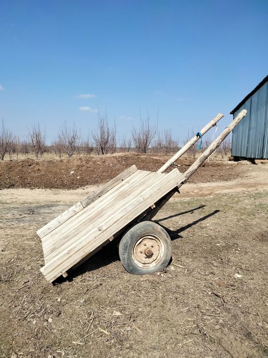 Ешек арба сатылады