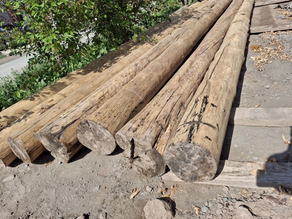 Sasno ogʻoch sotiladi