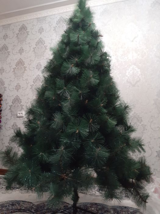 Archa уаngi ёлка narxi kelishiladi