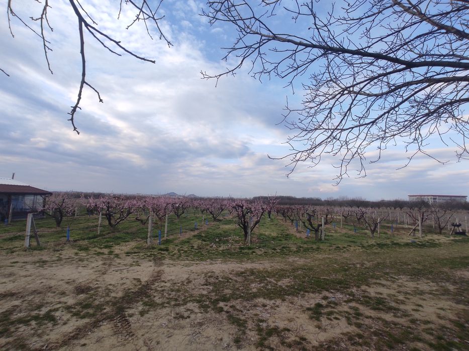 Земеделска земя,овощна градина