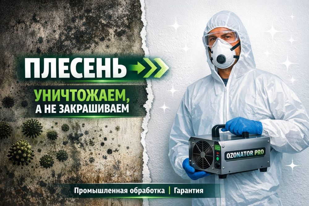 Удаление плесени. Безозопасно. Астана