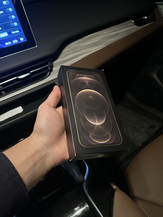 iPhone 12 Pro Чистый