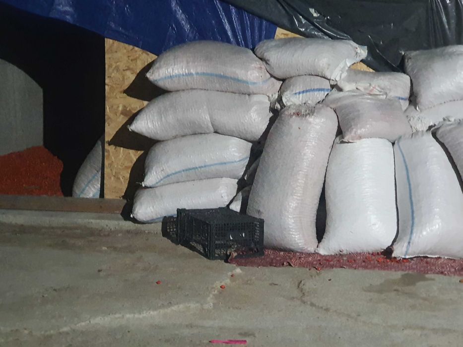 macese de vanzare. cantitati mari .OFERTA LA COMANDA