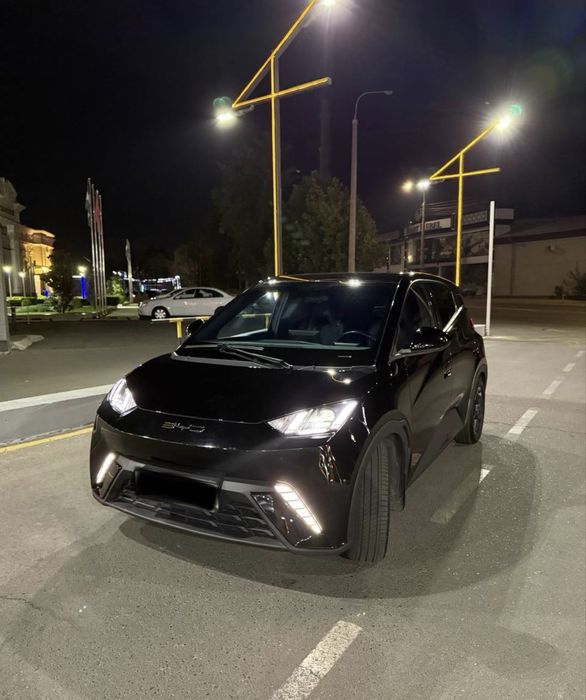 Byd Seagull 2023 full 405
