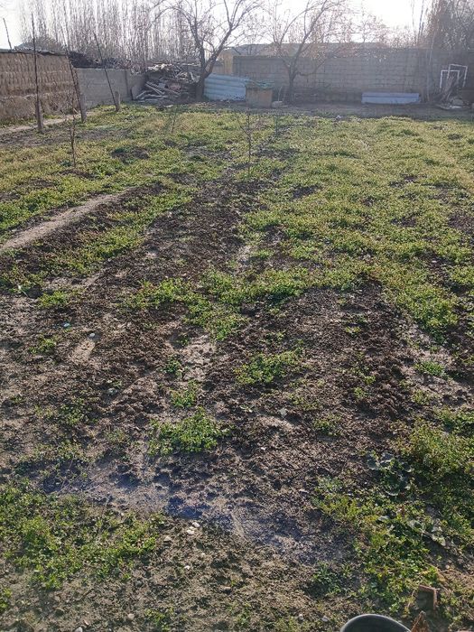 Bo'sh yer maydoni sotiladi