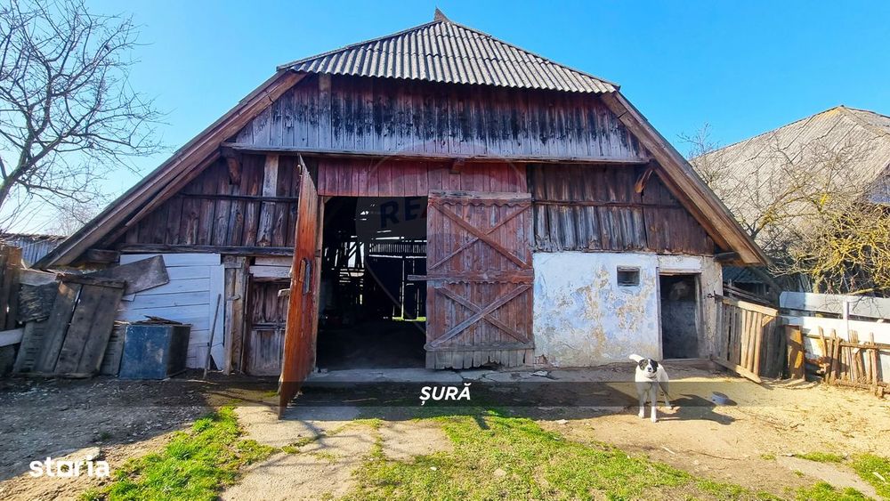 Casă de vânzare în Borlești, comuna Pomi
