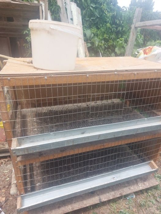 Брудер для цыплят