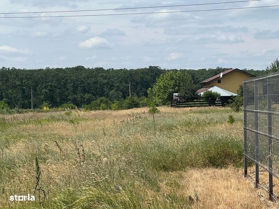Vand Teren intravilan Branesti Str Violetelor 1036mp direct proprietar