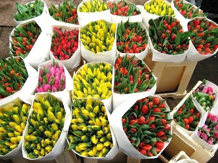 Цветы на 8 марта