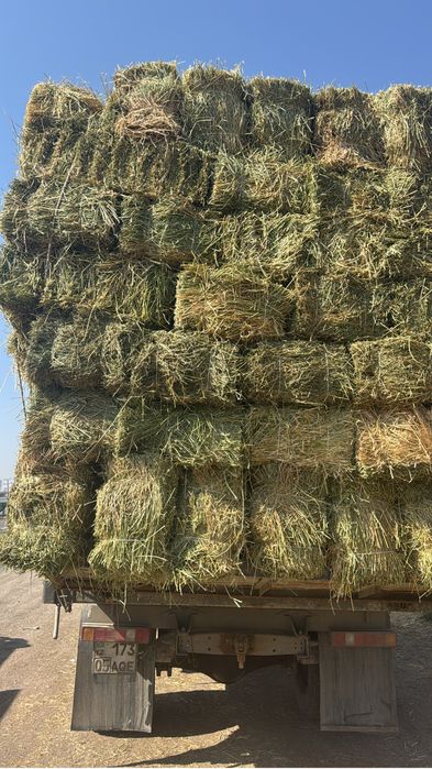 Жонышка доставкамен