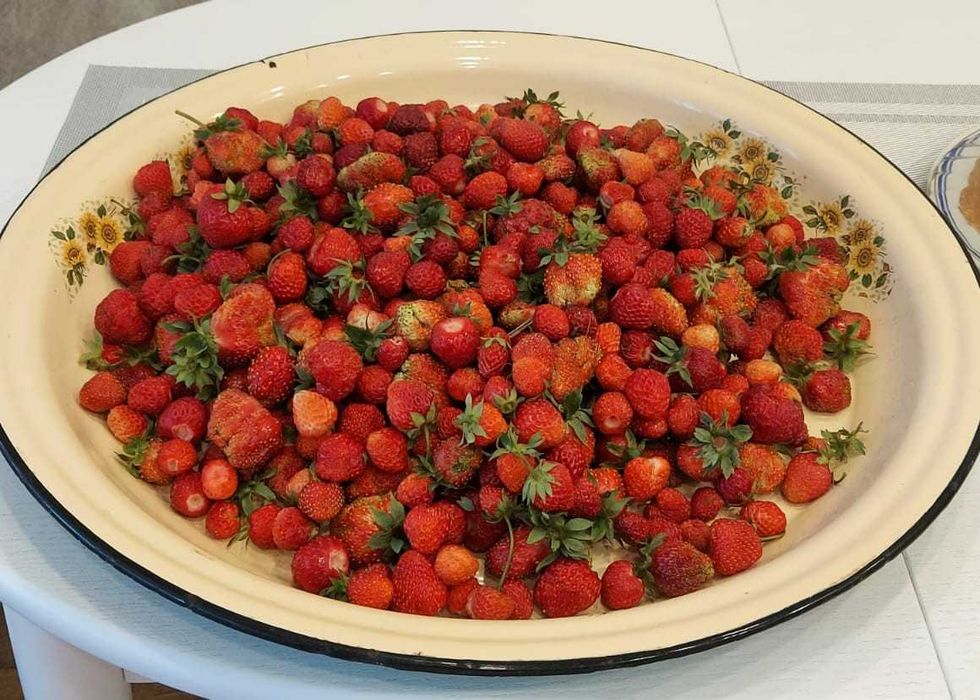 Продам дачу! Лада, р-н Новопавловки, ,ТОРГ!