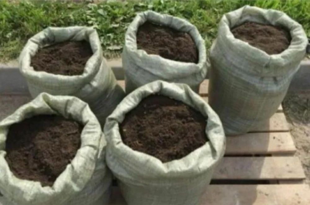 Продаем Перегной в мешках