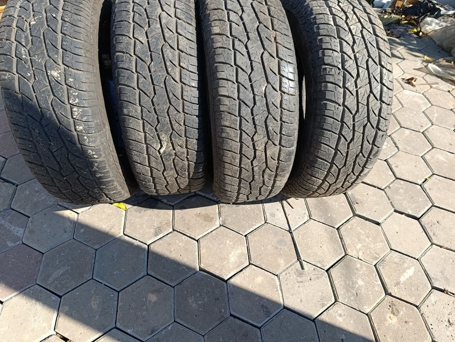 Авто шины Максим браво