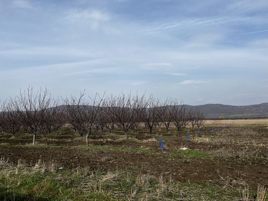 Продава се Земеделски имот в с. Поляново, Област Бургас -  кв.м за 153 €/дка - Снимка #1
