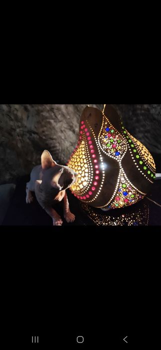 Светильник из декоративной тыквы