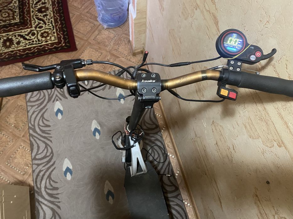 kaabo mantis 10 dual