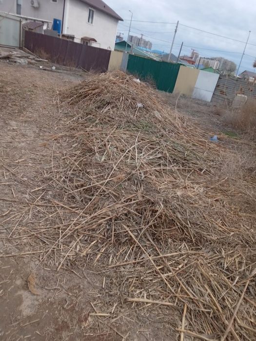 Отдам Трава Бесплатно