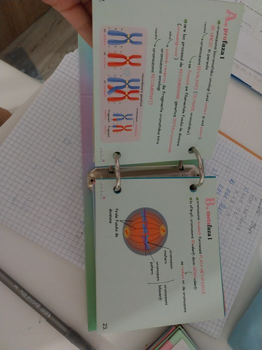 Carte biologie bac 9 10 editura invata de 10