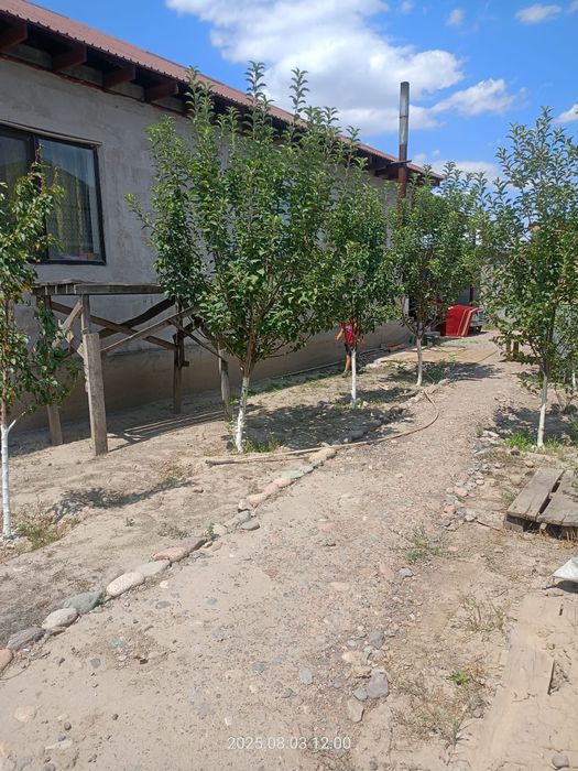 Большой уютный дом