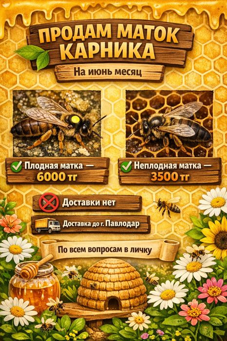 Пчело матки карника