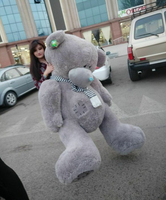 Teddi Teddy orginal 100%