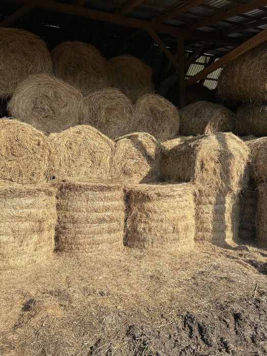 Vând baloți de fân