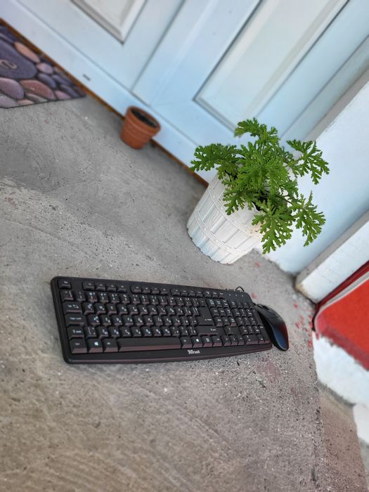 Клавиатура и мишка