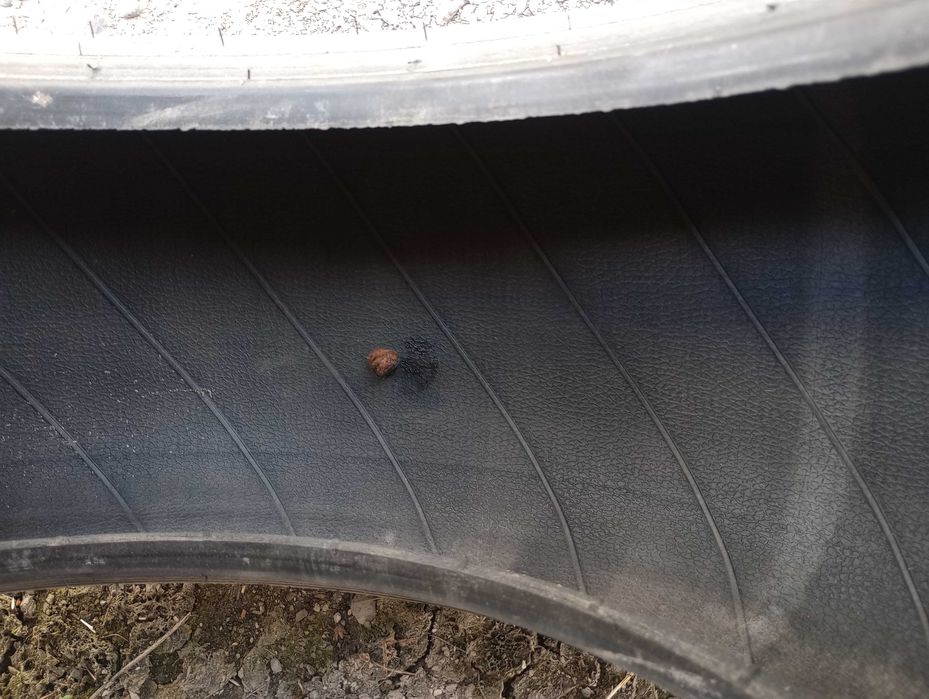 Anvelope All Season, M+S, 195/65 R15, DOT 2020. Michelin CrossClimate +