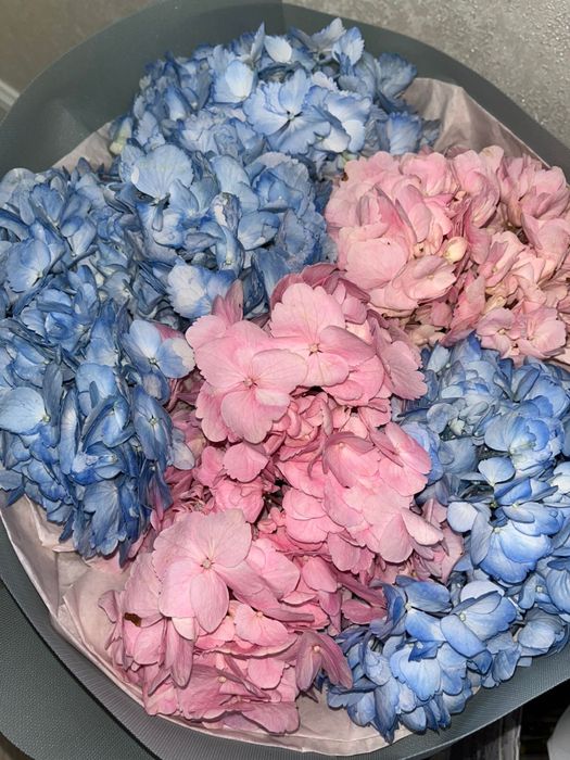 Цветы гартензия.