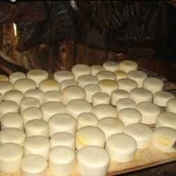 Caș din lapte de vacă