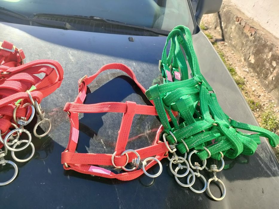 Продам новые недоуздки усиленные для жеребят