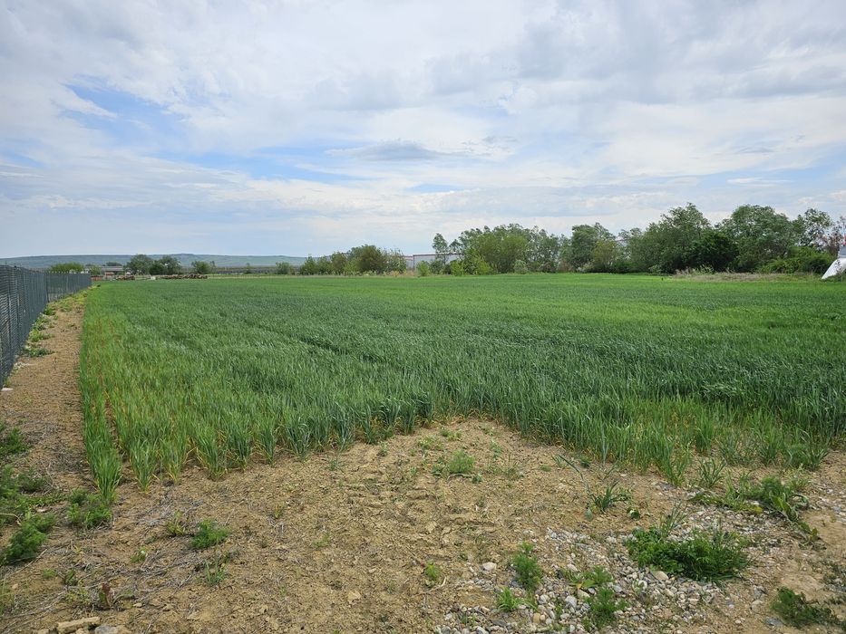 Teren cu PUZ pentru Hala