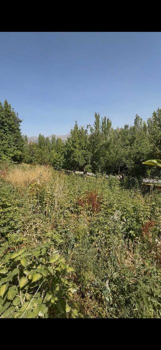 Кумушконда 8 сотик ер сотилади. Панорама куринишга эга жойда.