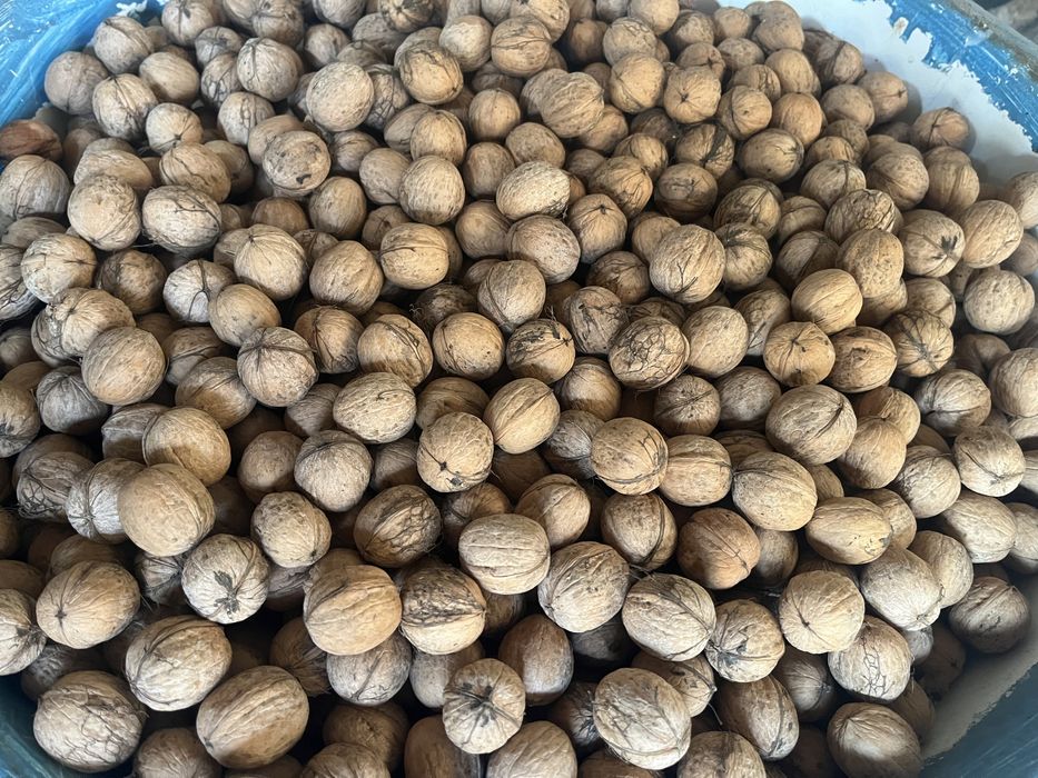 Орехи средние по 400